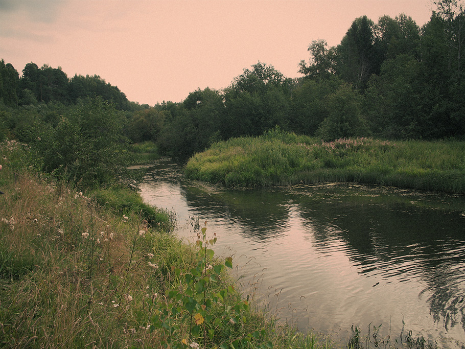 Река Меза , на берегу которой стоит Ильинское. 2011 г.